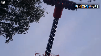 우리나라에 새로 들어온 놀이기구 | 인스티즈