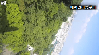 우리나라에 새로 들어온 놀이기구 | 인스티즈