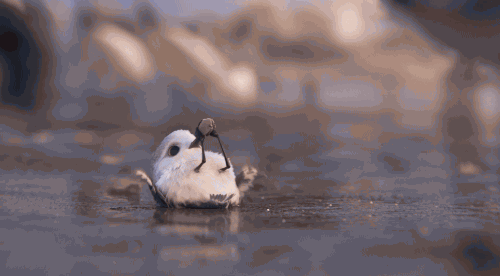 픽사 신작캐릭터 | 인스티즈