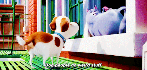 이번에 미국에서 대박 터진 애니 | 인스티즈