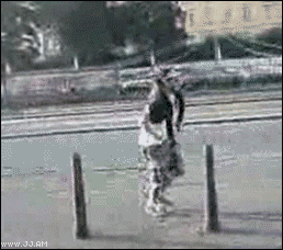 아니 내가 씨없는 수박이라니 | 인스티즈