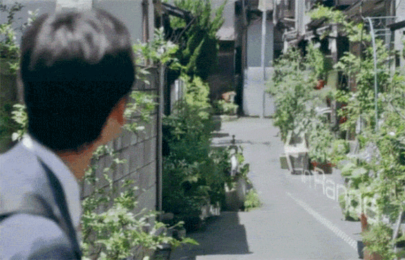 2016년 포켓몬 현실화 기사 | 인스티즈