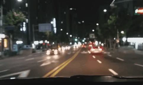 서초구에 나타난 좀비 | 인스티즈