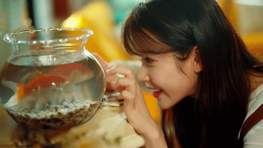 [16.07.27] 카카오게임 놀러와 마이홈 아이유.swf | 인스티즈