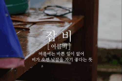 비 오는 날, 어떤 비를 좋아하세요? | 인스티즈