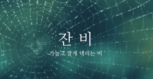비 오는 날, 어떤 비를 좋아하세요? | 인스티즈