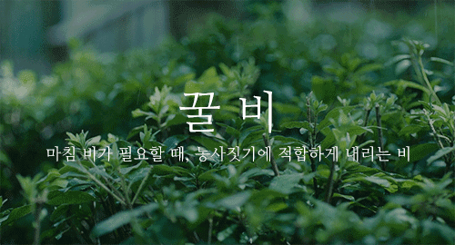 비 오는 날, 어떤 비를 좋아하세요? | 인스티즈