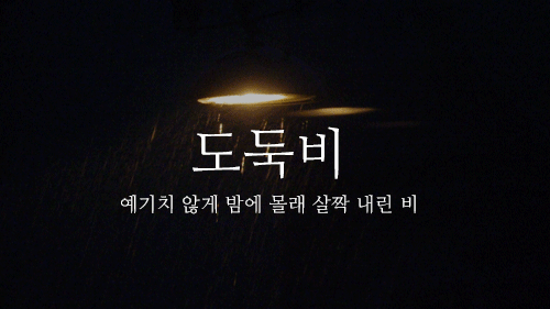 비 오는 날, 어떤 비를 좋아하세요? | 인스티즈
