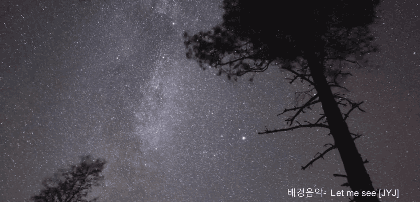여름밤에 보면 좋은 밤하늘 별자리 영상 | 인스티즈