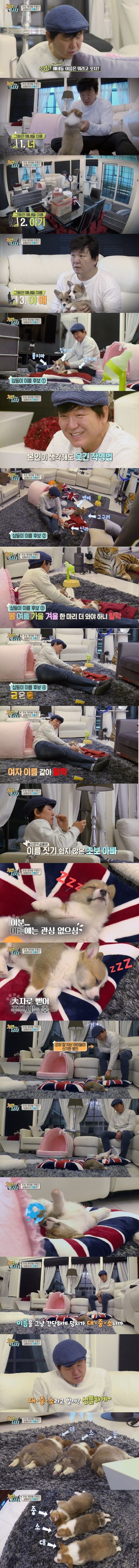 [개밥주는남자] 대중소는 왜 대중소가 되었는가.jpg | 인스티즈