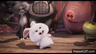 [마이펫의이중생활] 에 나오는 동물들의 종을 알아보자.araboja | 인스티즈