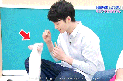 짱덕사하고싶으면 이 영상을 봐라 짱잘남과 아기동물의 조합(인코딩완료!!!!!!!!) | 인스티즈