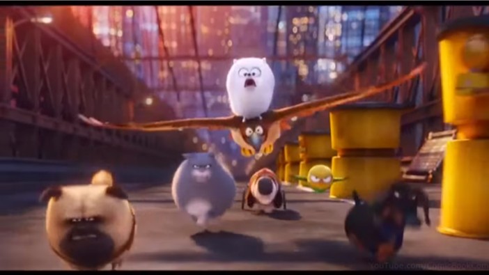 [마이펫의이중생활] 에 나오는 동물들의 종을 알아보자.araboja | 인스티즈