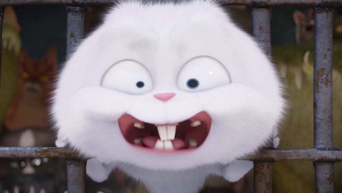 [마이펫의이중생활] 에 나오는 동물들의 종을 알아보자.araboja | 인스티즈