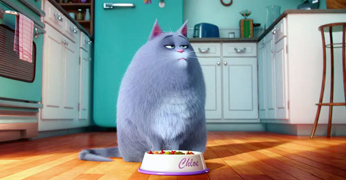 [마이펫의이중생활] 에 나오는 동물들의 종을 알아보자.araboja | 인스티즈