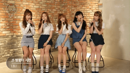 팬들의 망상으로 시작해 오늘 음악방송 데뷔하는 걸그룹 I.B.I (아이비아이) | 인스티즈