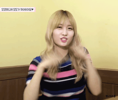 [트와이스] 드디어 모모랜드에 출연한 모모링 ㅋㅋㅋㅋㅋㅋ | 인스티즈