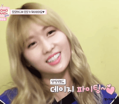 [트와이스] 드디어 모모랜드에 출연한 모모링 ㅋㅋㅋㅋㅋㅋ | 인스티즈