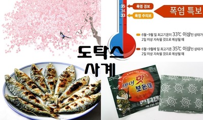 [MLT-35] 김가연이 말하는 악플러 3대장지역.swf | 인스티즈