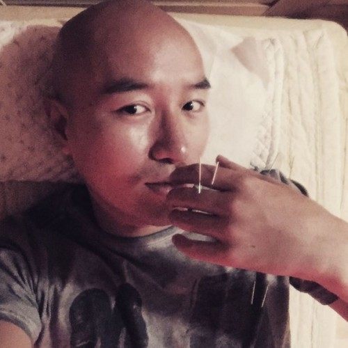 내 심장폭행 최애 동물은? 강쥐 vs 고양이 vs 그외 | 인스티즈