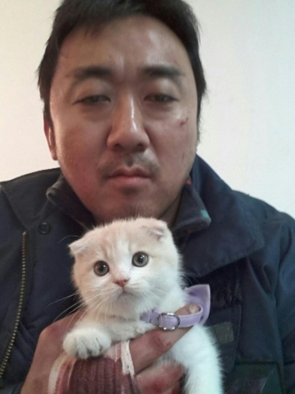 내 심장폭행 최애 동물은? 강쥐 vs 고양이 vs 그외 | 인스티즈