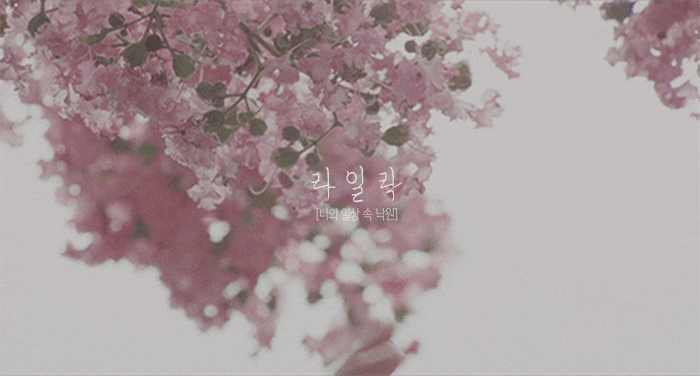 감각적인 패키징 마케팅으로 미국에서 급부상한 화장품 브랜드 | 인스티즈