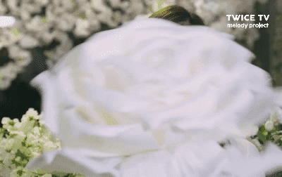 묘이 미나 멜로디 프로젝트 - 좋은 사람 | 인스티즈