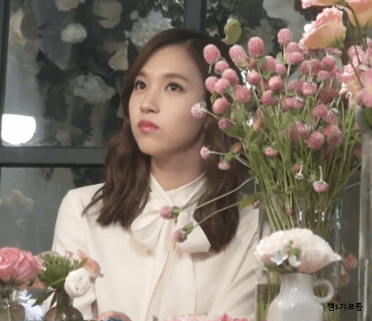 묘이 미나 멜로디 프로젝트 - 좋은 사람 | 인스티즈