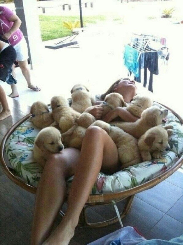 바보라고 해서 삐진 강아지 ㅋㅋㅋㅋㅋㅋㅋㅋㅋㅋㅋㅋㅋㅋㅋㅋㅋㅋㅋㅋㅋㅋㅋㅋㅋㅋㅋㅋㅋㅋㅋㅋㅋㅋㅋㅋㅋㅋㅋㅋㅋㅋㅋㅋㅋㅋㅋ﻿ㅋ | 인스티즈