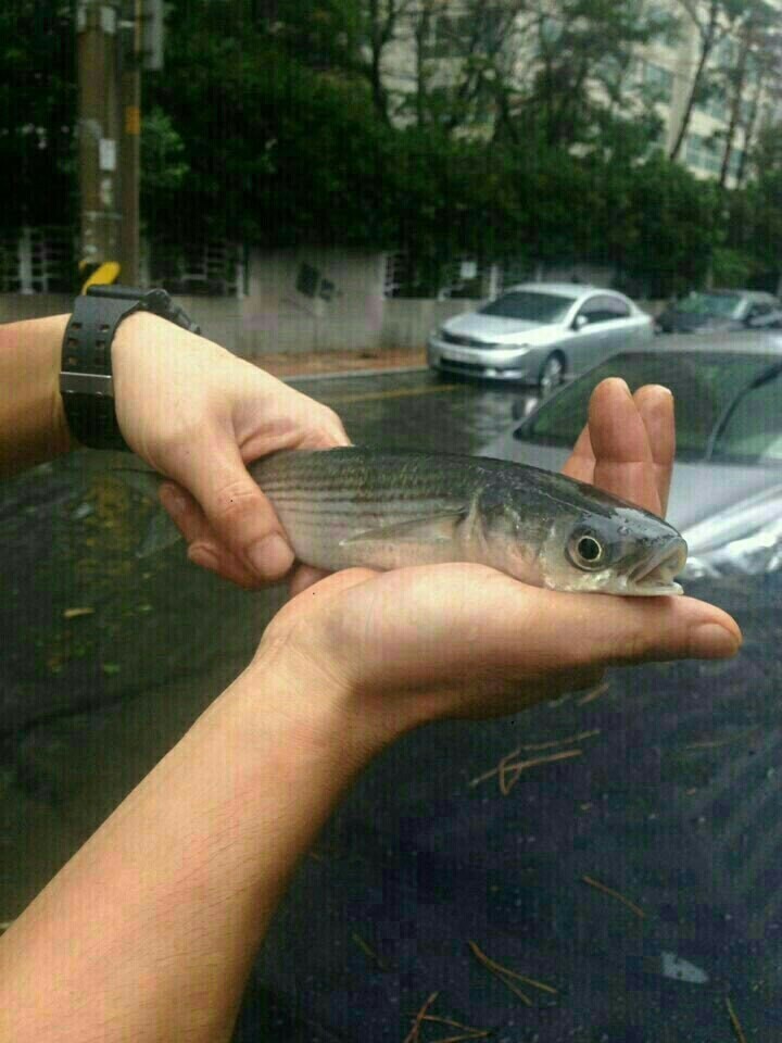 방금 해운대 마린시티에서 찍은 장면....ㄷㄷ | 인스티즈