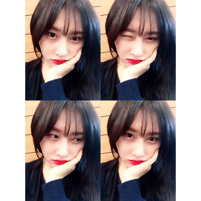 소나무 의진 | 인스티즈