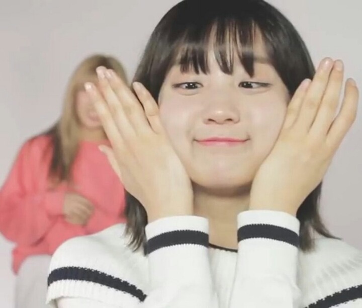 아린이 한테 돼지라고 말한 비니.swf | 인스티즈