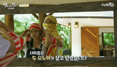 [최초] 백삼촌의 새 조카, 이승훈&공승연! (11월 첫방 먹고자고먹고 끄라비편) | 인스티즈