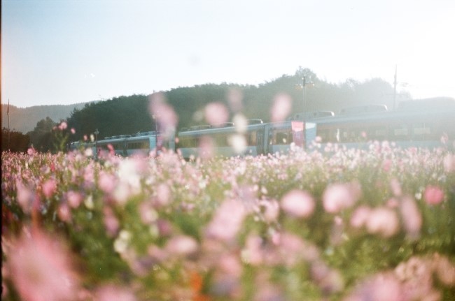 복면가왕... 팝콘소녀..."그대는 어디에"...(가왕등극) | 인스티즈