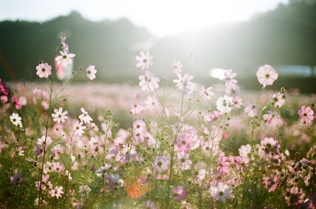 복면가왕... 팝콘소녀..."그대는 어디에"...(가왕등극) | 인스티즈