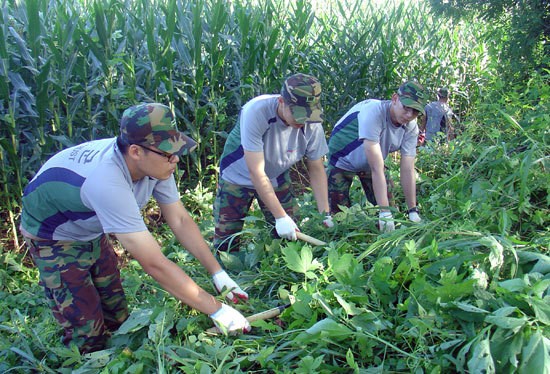 한국남자 대부분이 겪는 정신병 | 인스티즈