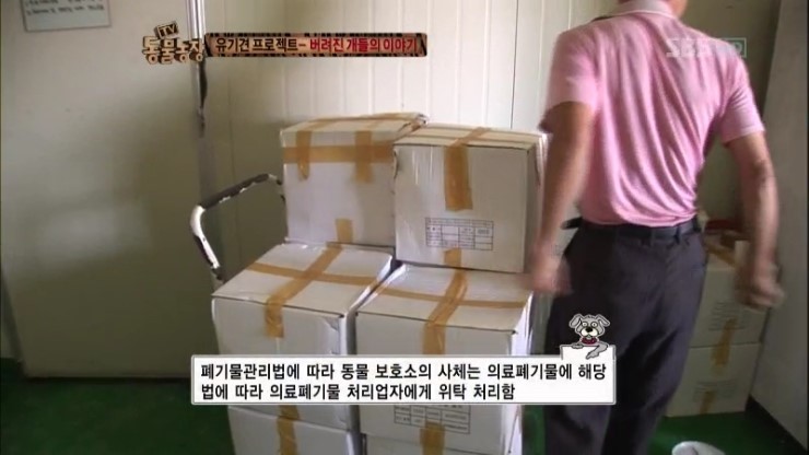 제발 키우는 강아지를 버리지 말자...... | 인스티즈