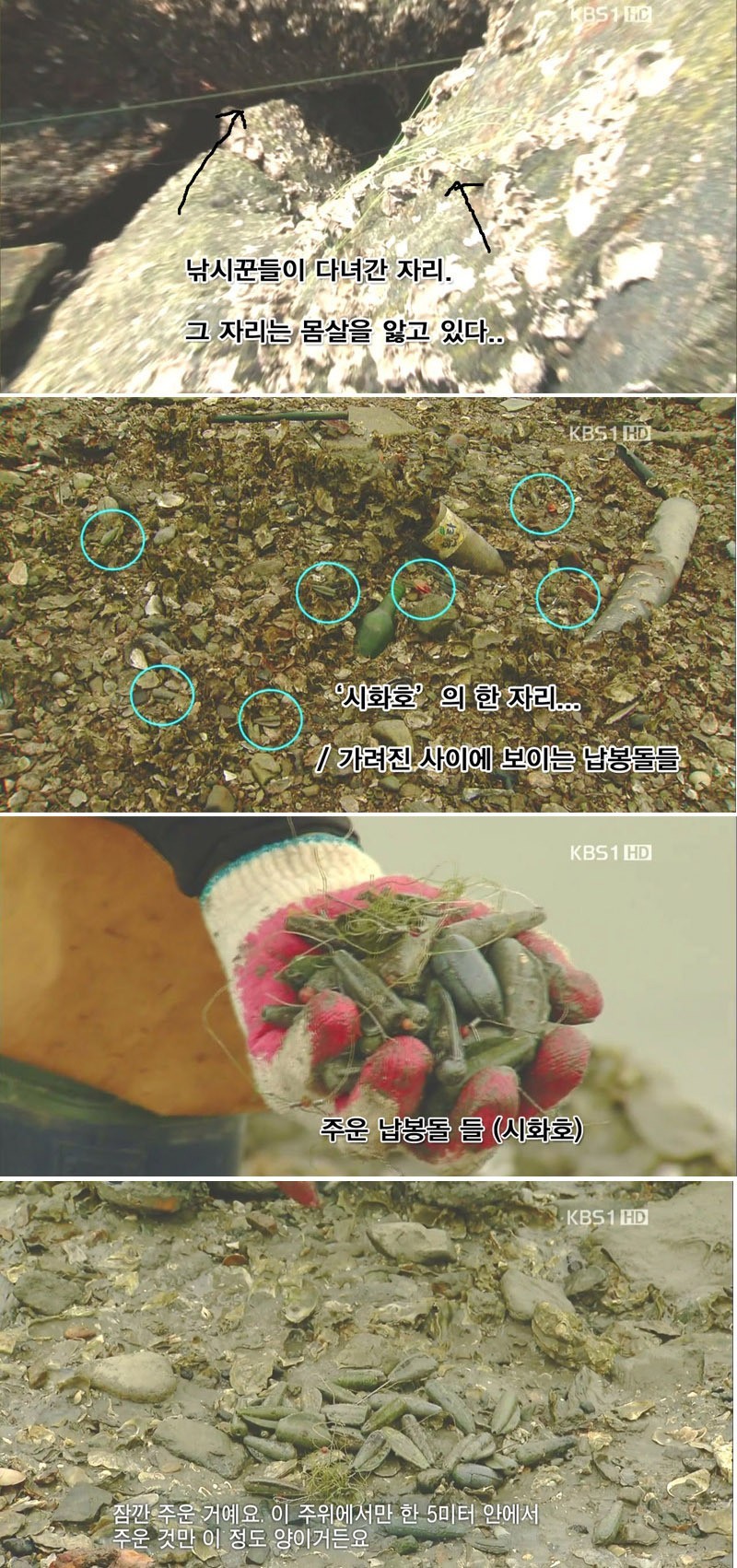 낚시가 세상을 조용히 납중독으로 만들고 있다 | 인스티즈