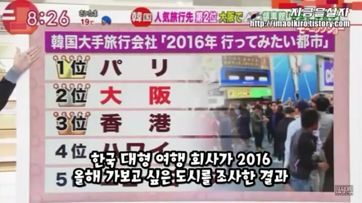 일본방송에서 분석한 오사카가 한국에서 인기있는 이유들JPG | 인스티즈
