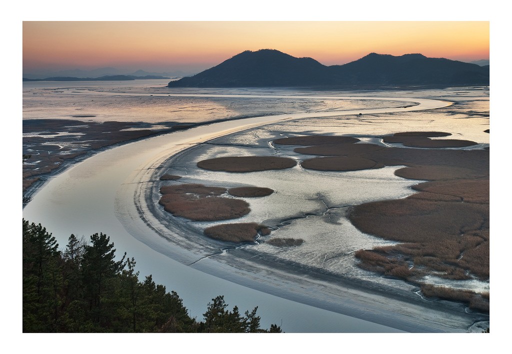 순천만의 위엄.jpg | 인스티즈