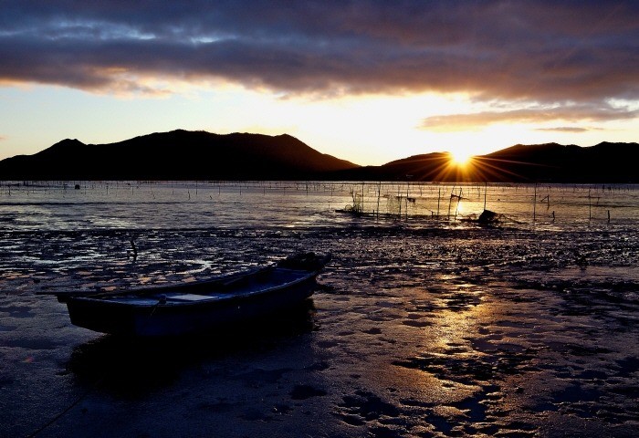 순천만의 위엄.jpg | 인스티즈