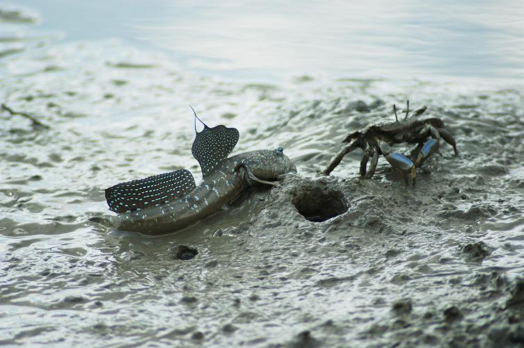 순천만의 위엄.jpg | 인스티즈