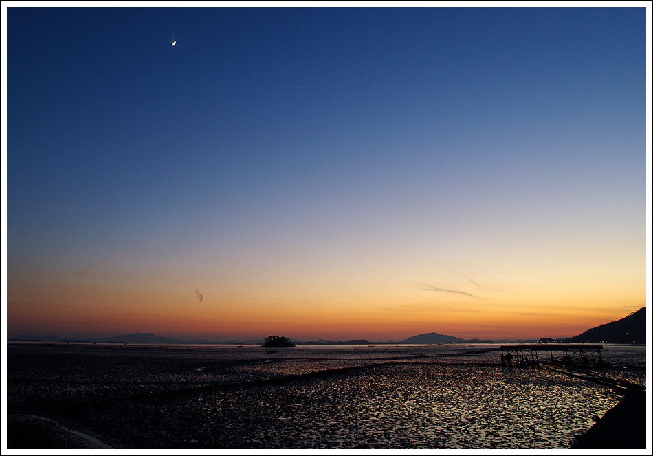 순천만의 위엄.jpg | 인스티즈