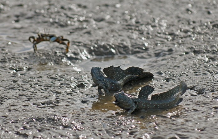 순천만의 위엄.jpg | 인스티즈