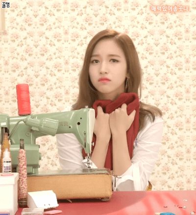 묘이 미나.gif | 인스티즈