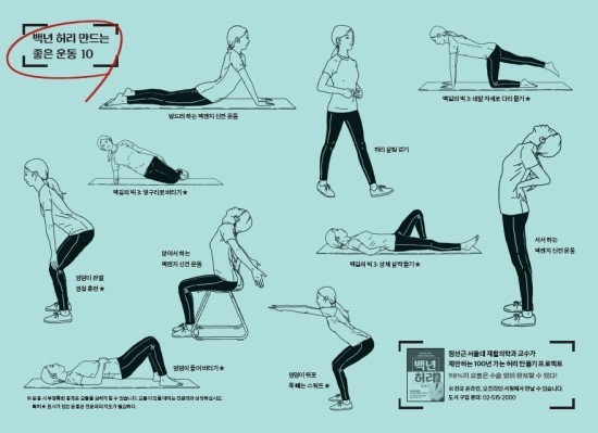 허리디스크,목디스크 혹은 허리,목아프신분들이 꼭 알아야하는것 | 인스티즈