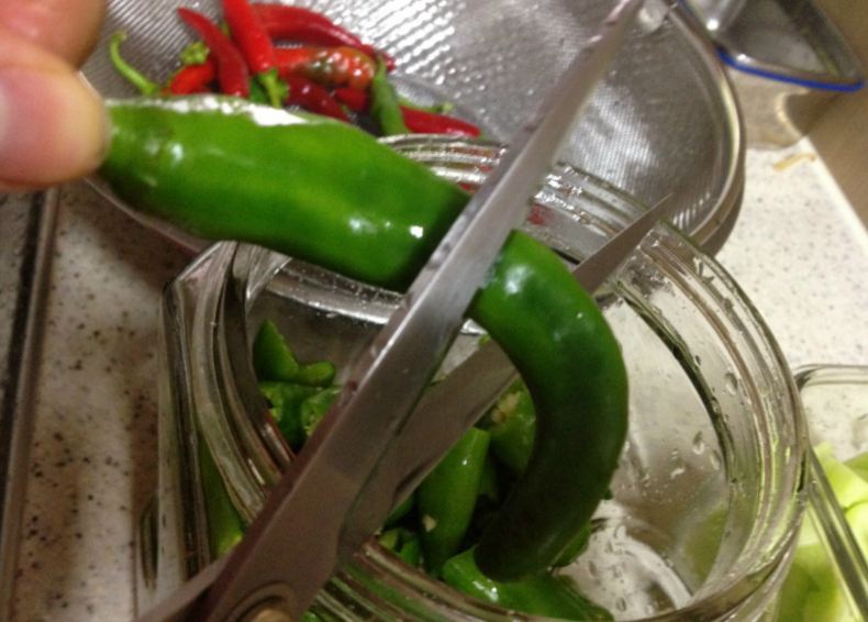 클럽에서 여시들 모습 내가 찍어옴 | 인스티즈