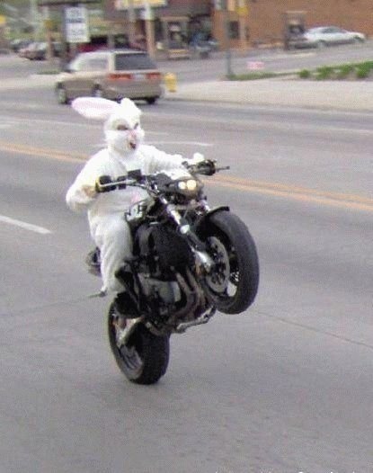 클럽에서 여시들 모습 내가 찍어옴 | 인스티즈