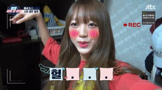 [I.B.I] 태국 용팔이 할배에게 사기맞는 김소희 | 인스티즈