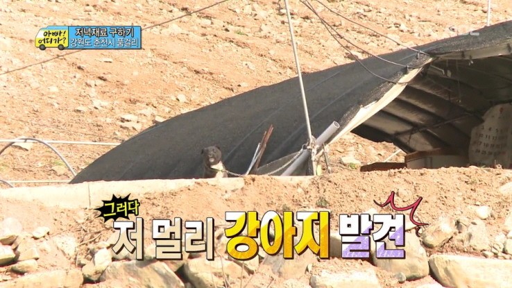 [아빠어디가] 생애 첫 미션을 받은 민율이 자세.jpg | 인스티즈